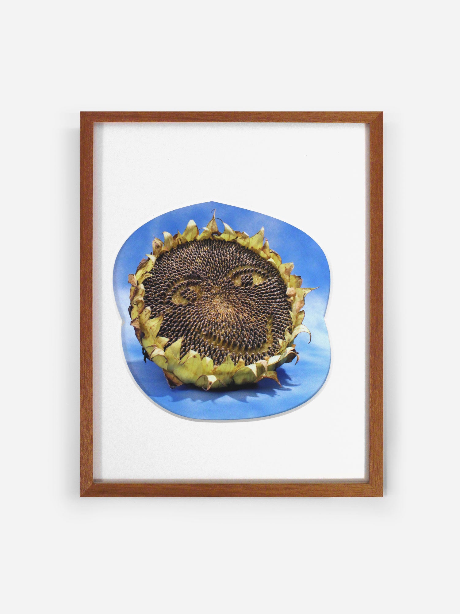 Happy (Sunflower series)