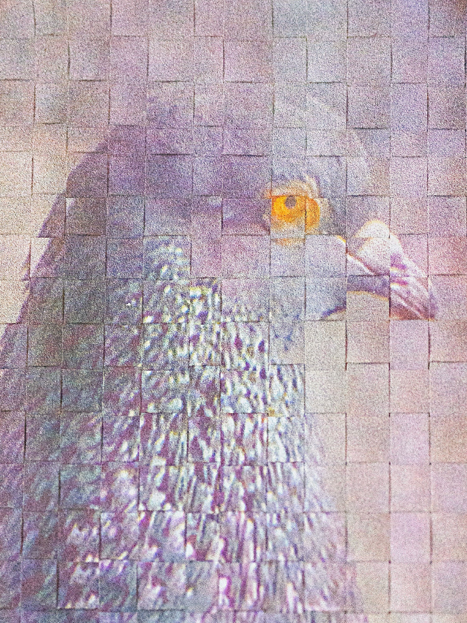 Pigeon, braided, 001