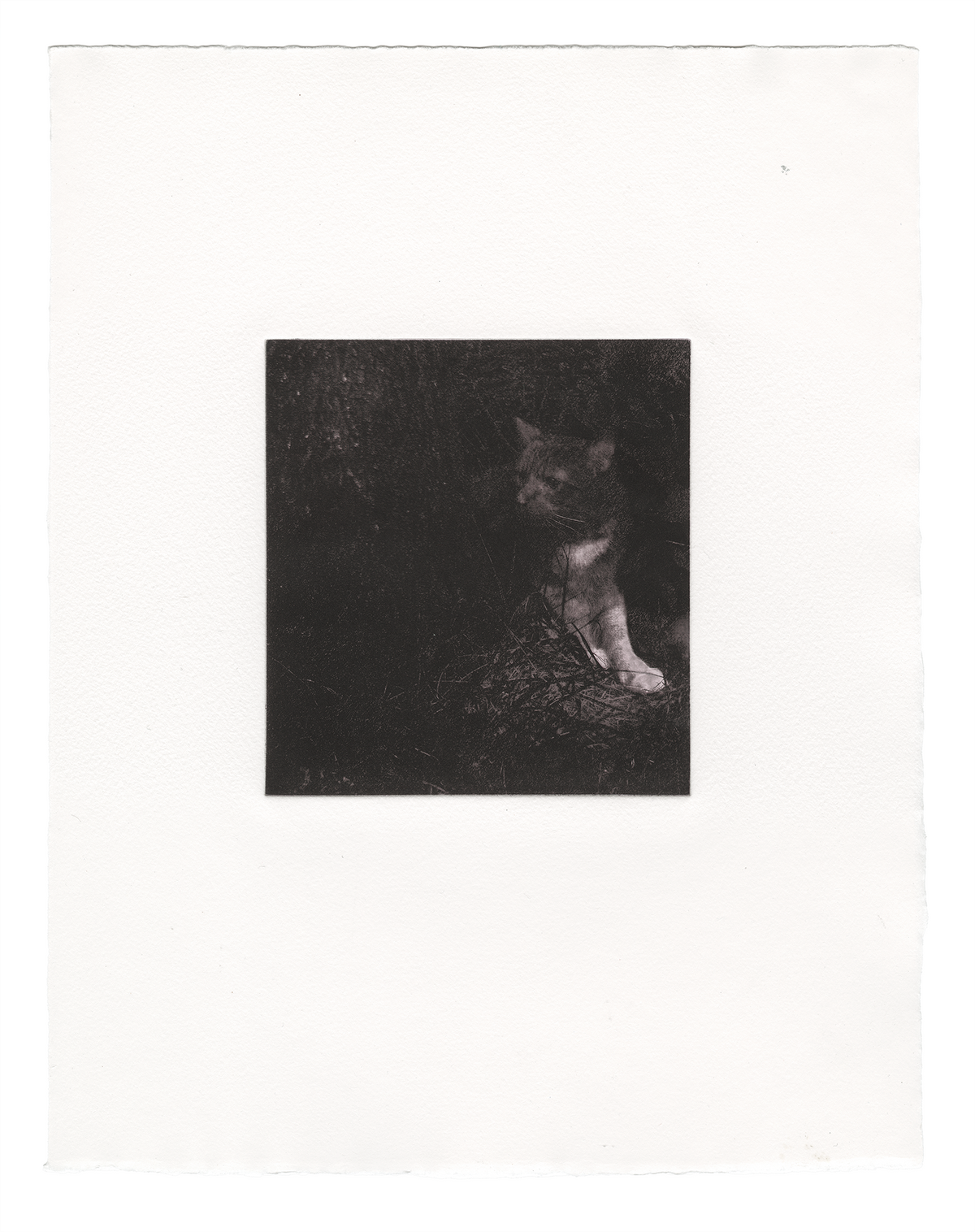 Stille Post #1