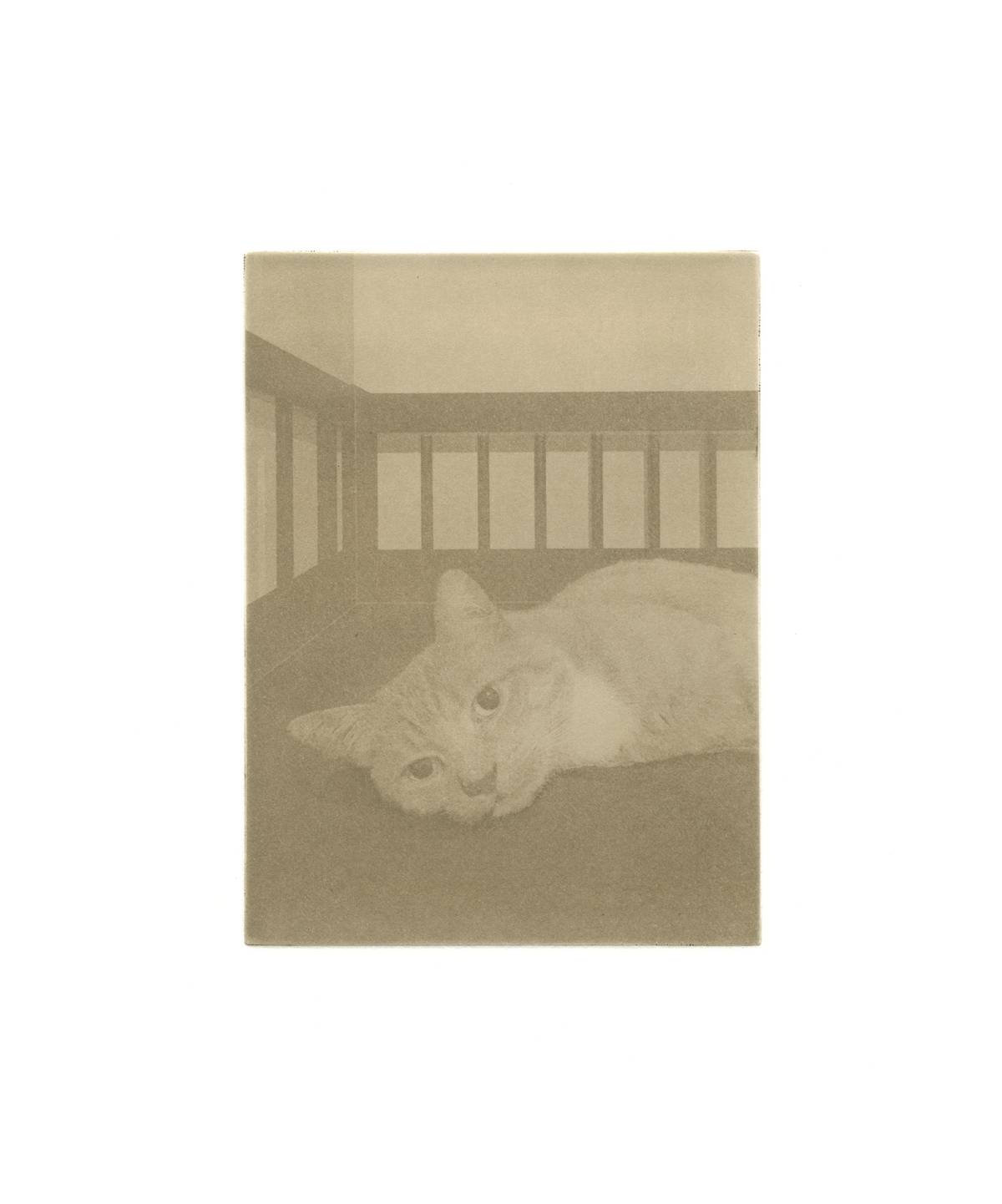 Stille Post #4