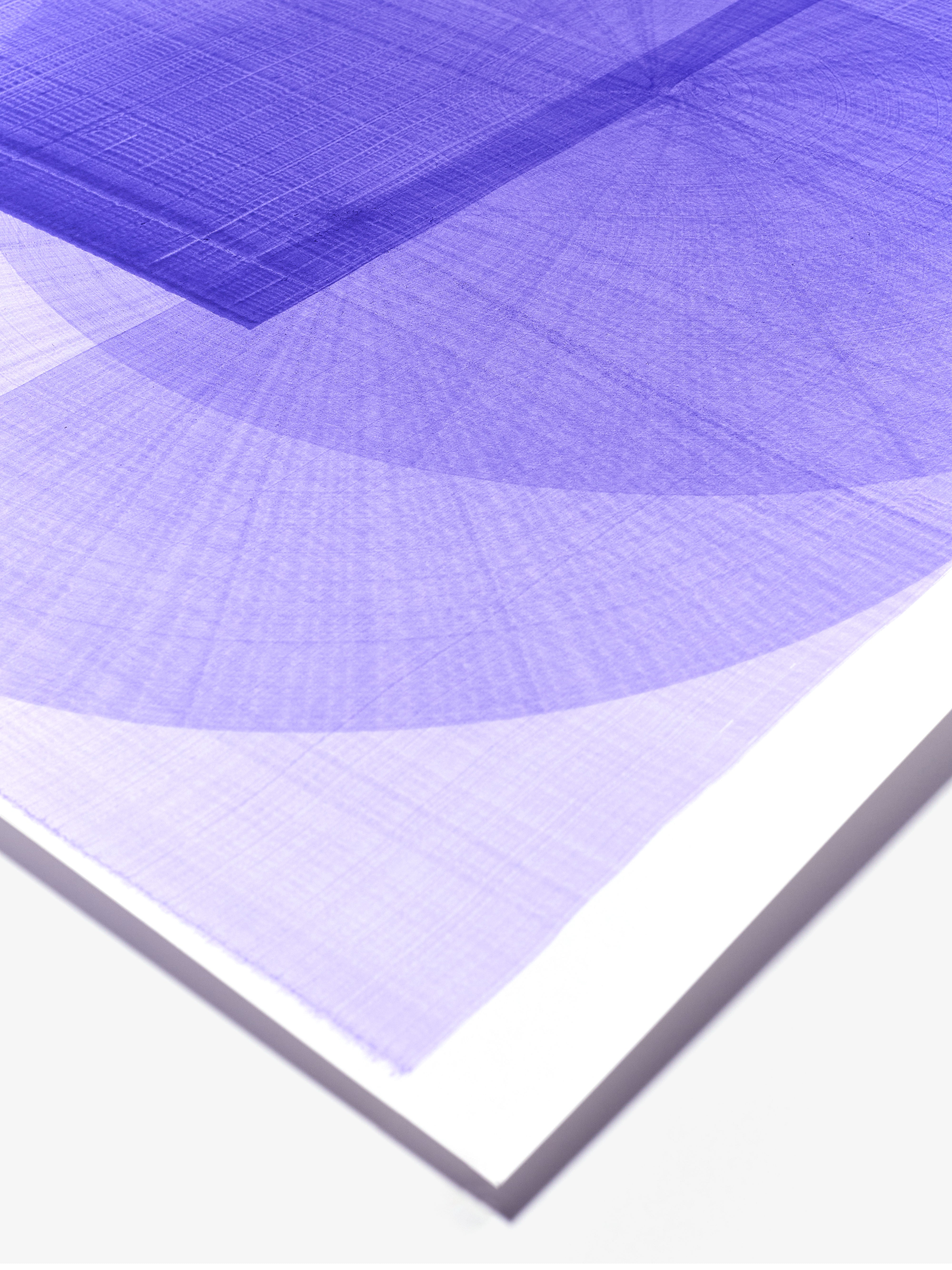 Two Purple Lines 40