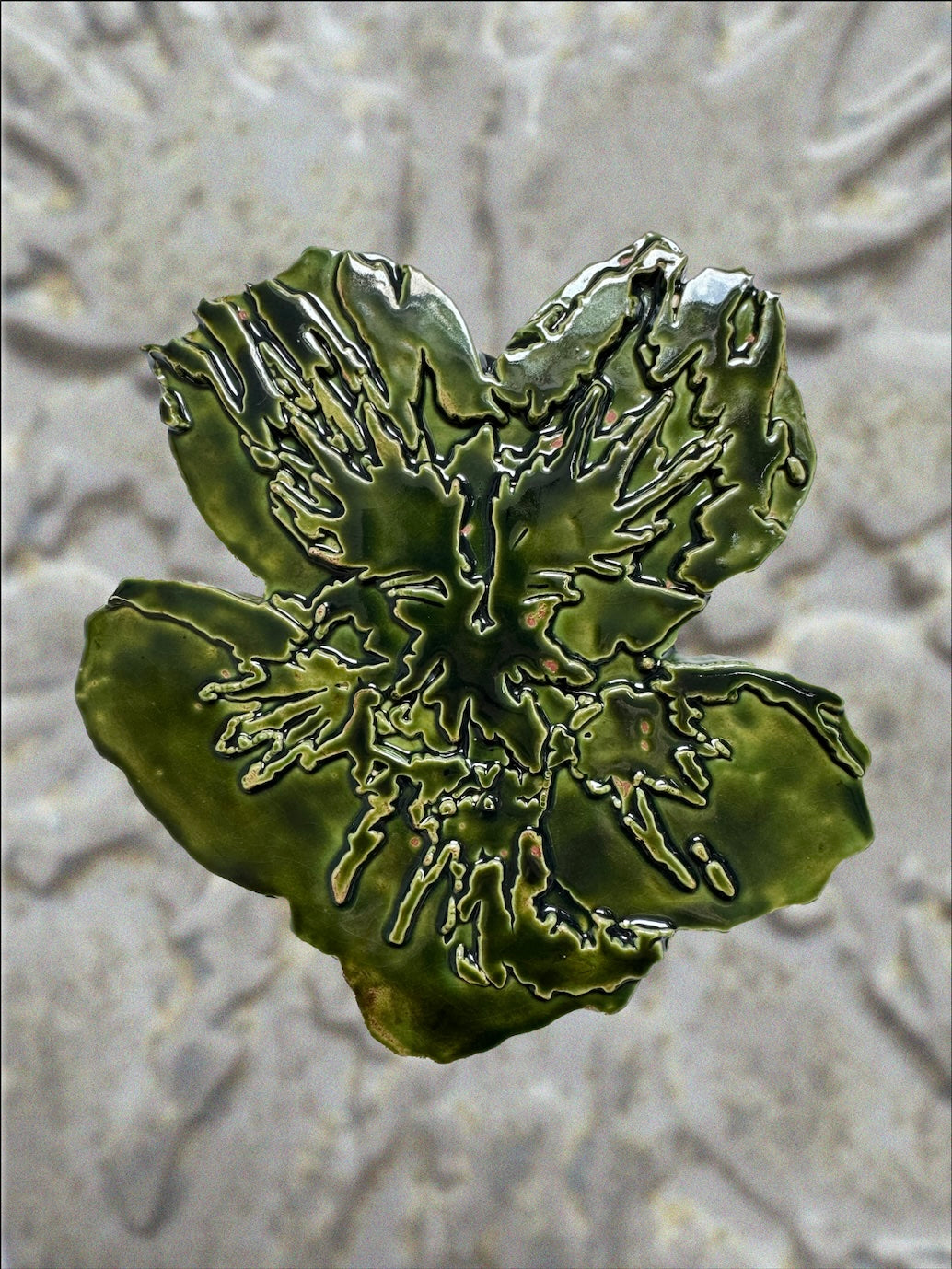 Echo Botanica