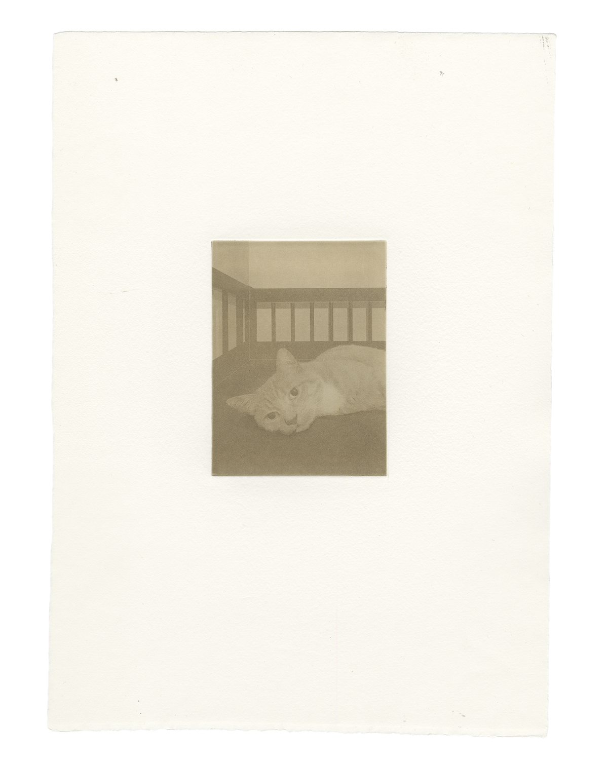Stille Post #4