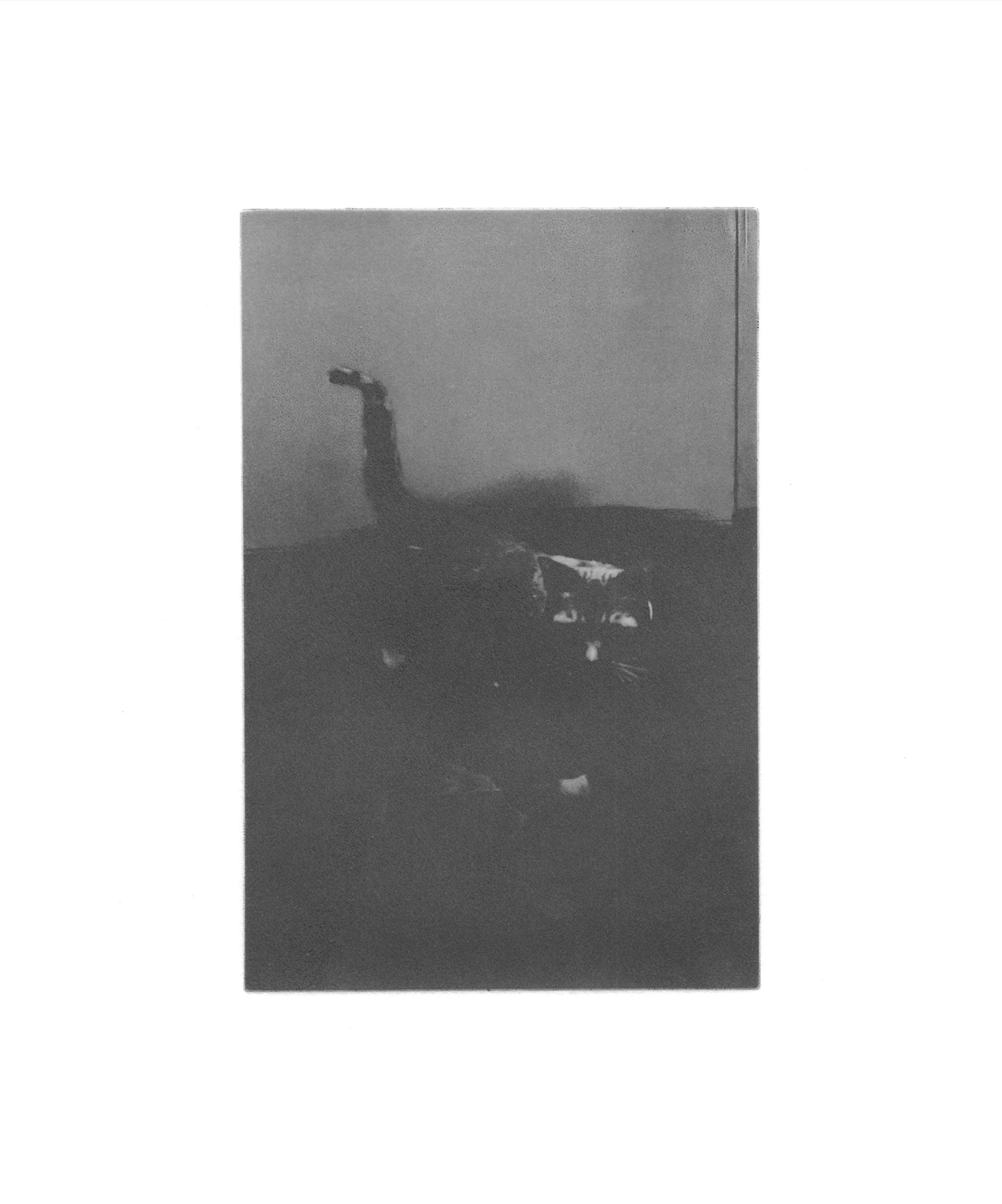 Stille Post #5