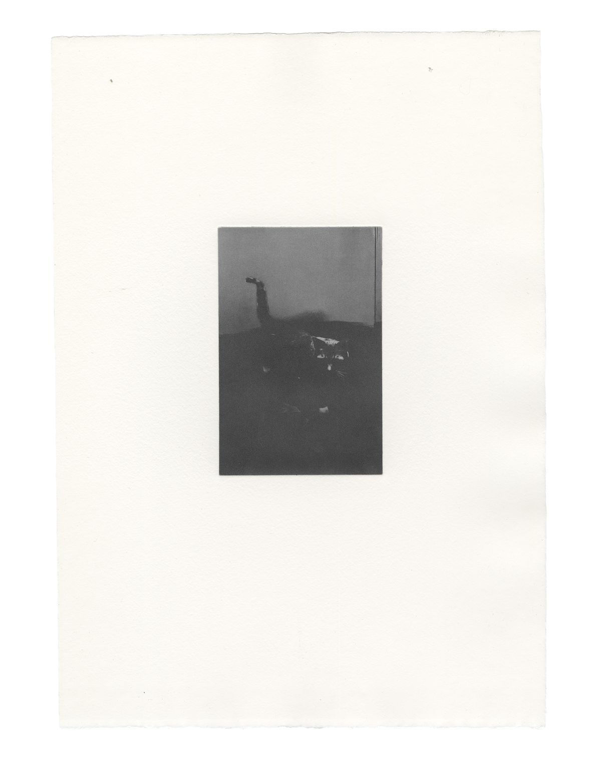 Stille Post #5