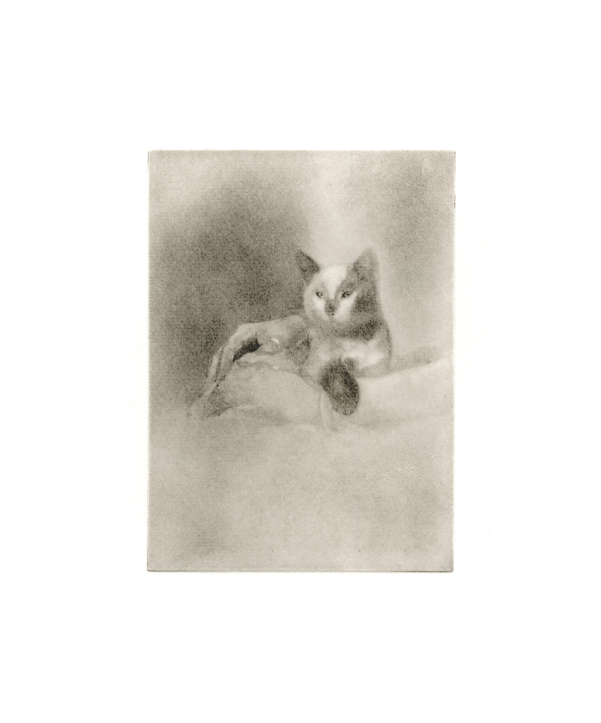 Stille Post #7