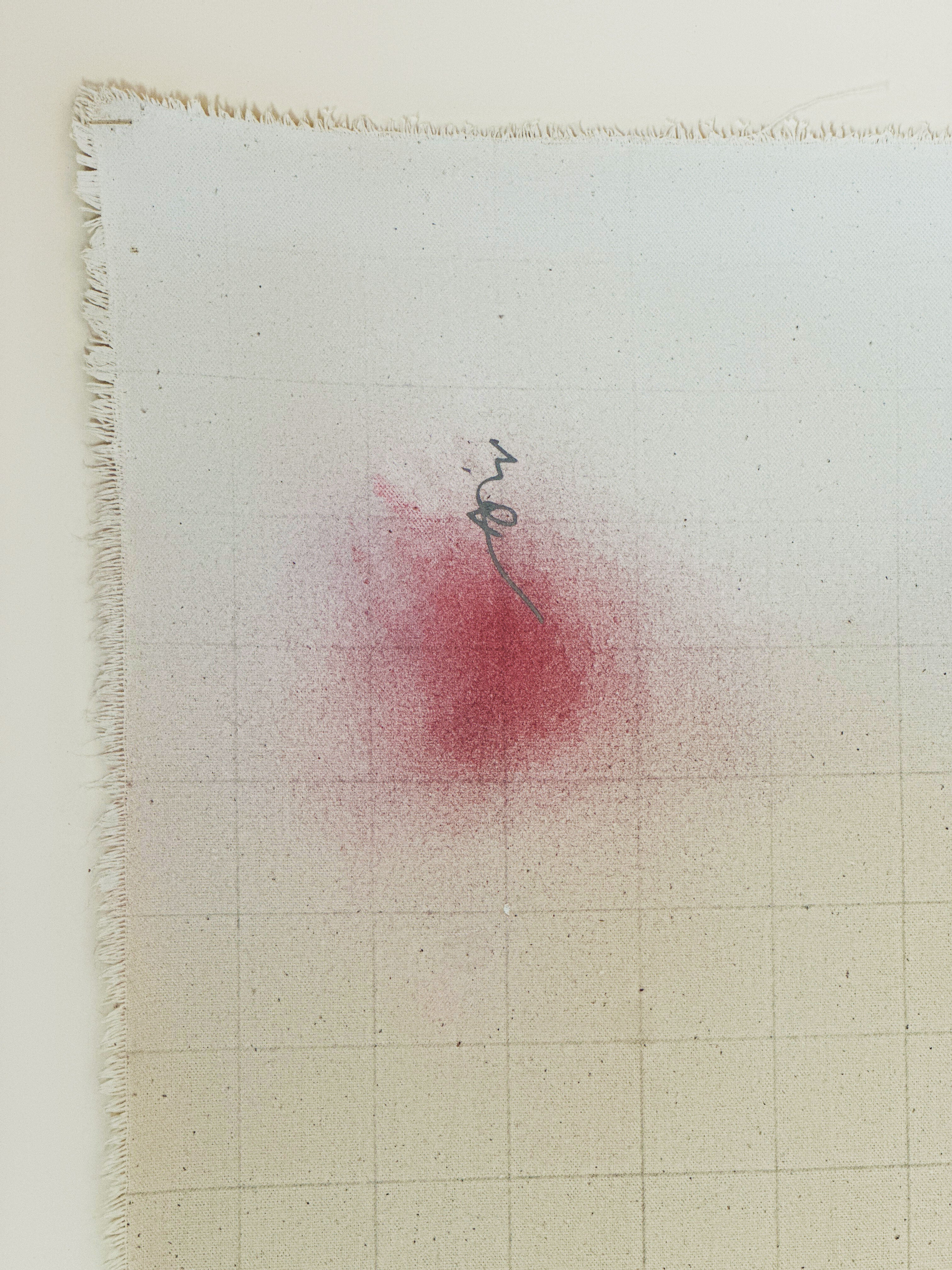 Palimpsest