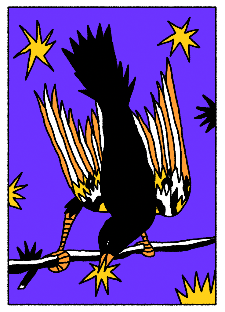 De Sterrenvanger